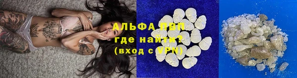 шишки Алексин