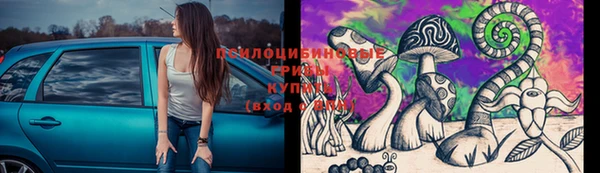 шишки Алексин