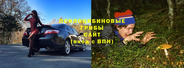 стафф Алексеевка