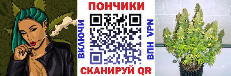 MEGA зеркало  Мураши  Каннабис конопля 